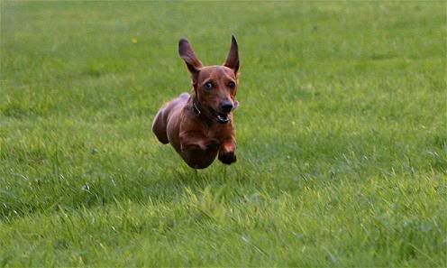 flyingsophie1.jpg