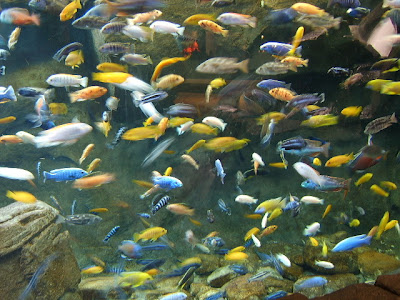 STA60030.JPG