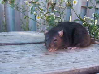 DSCF2986.jpg