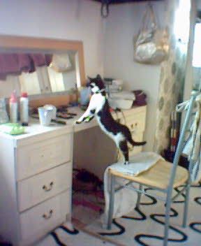picture3.jpg
