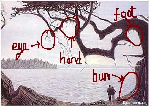 baby_tree.jpg