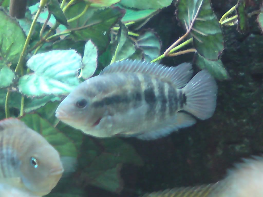 DSC00427.jpg