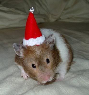 MerryXmasHammy371x393.jpg