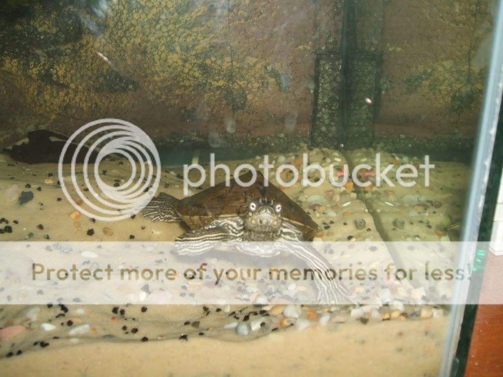 DSCF2826.jpg