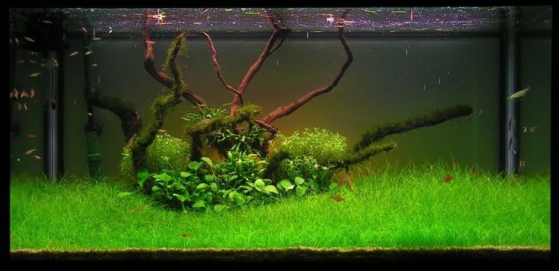 250L070813.jpg