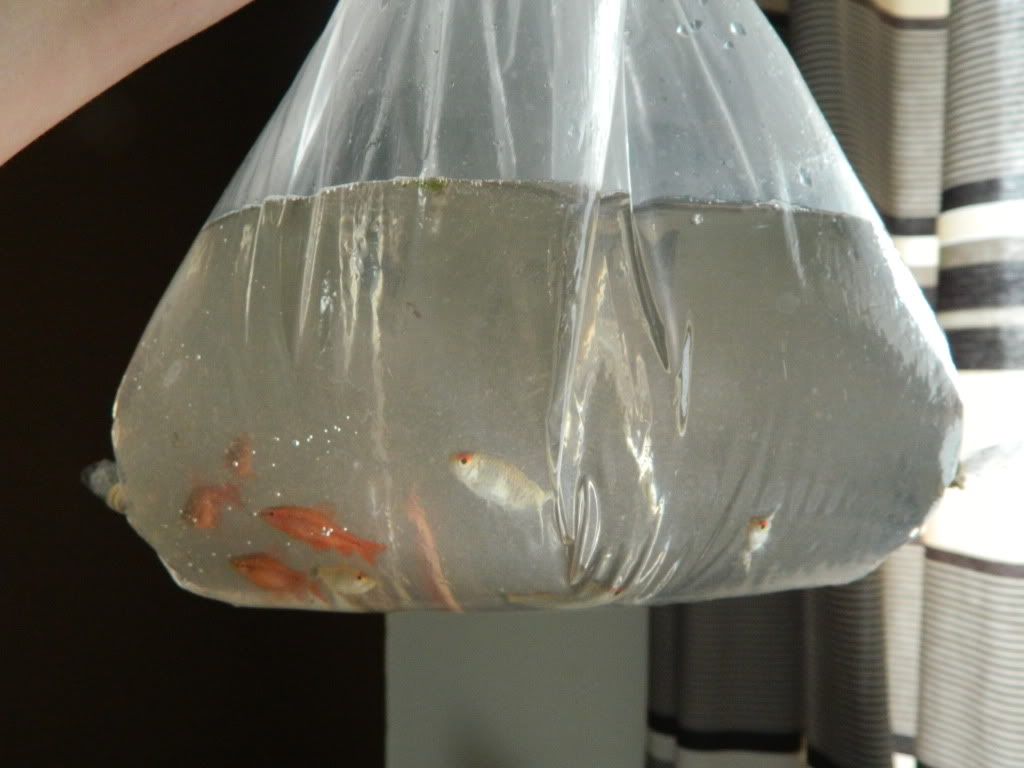 DSCN1030.jpg