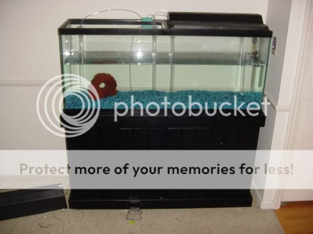 newtank3.jpg