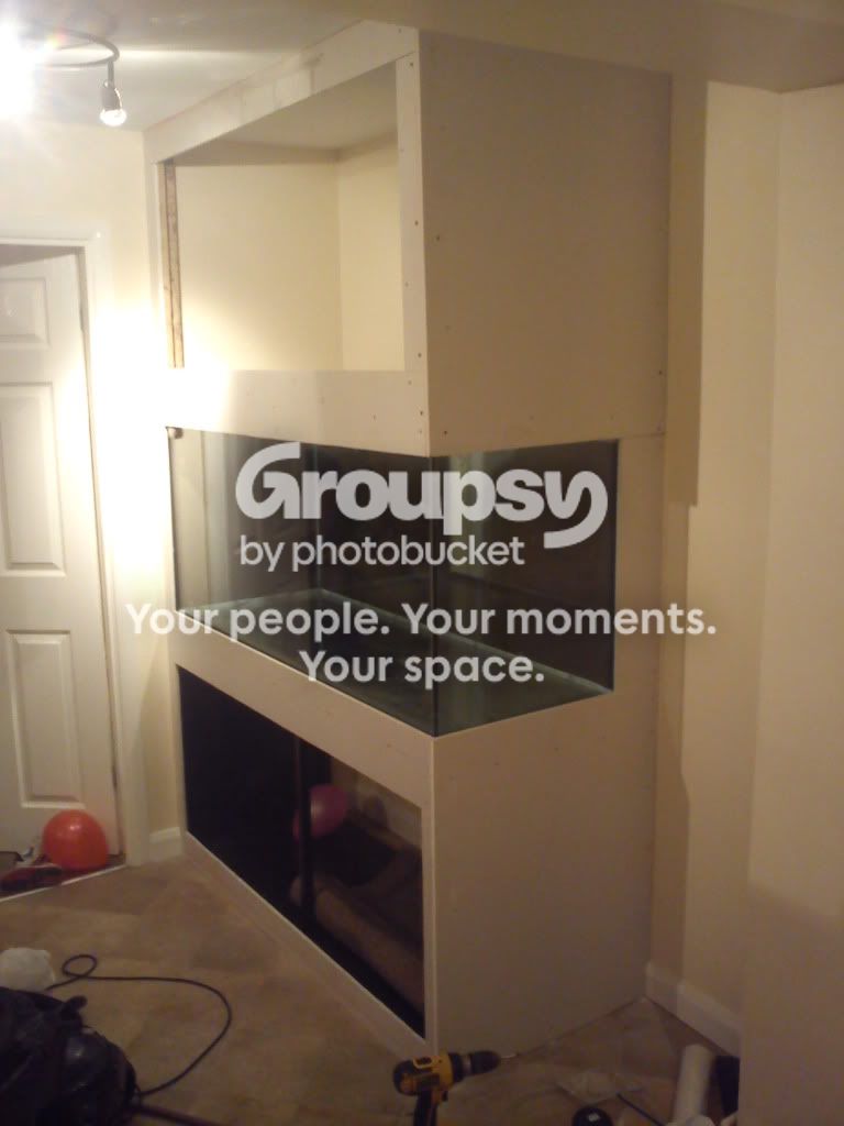 IMG_20120211_224255.jpg