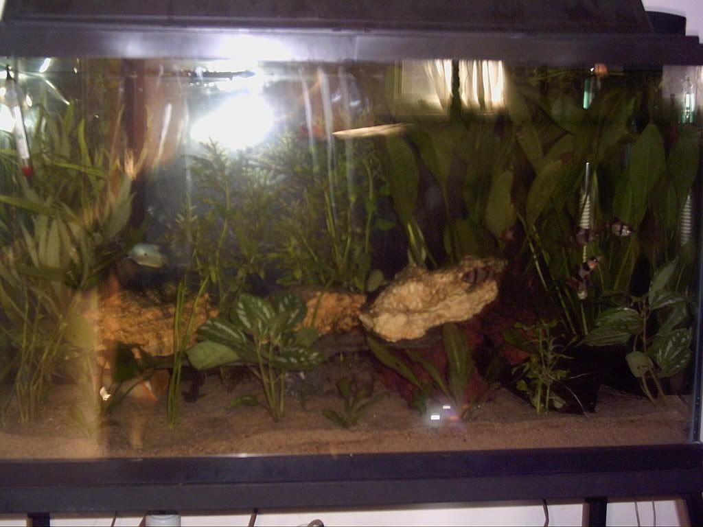 PICT0038.jpg