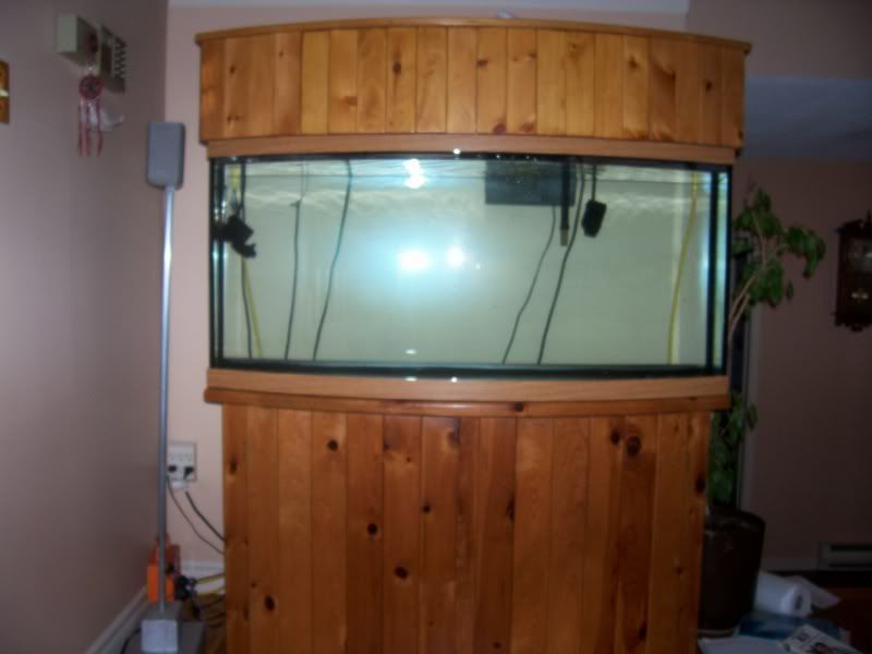 Picture034.jpg