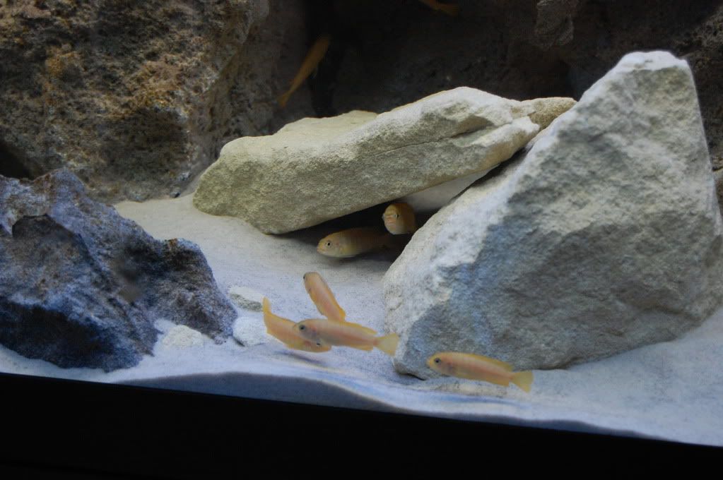 DSC_0237.jpg