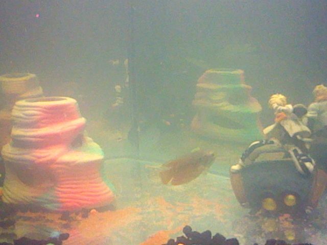 HNI_0091.jpg