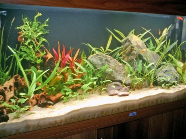 imag0001-5.jpg