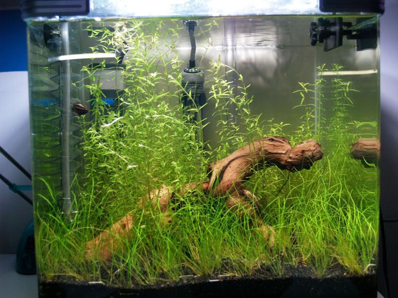 Fishcube23.jpg