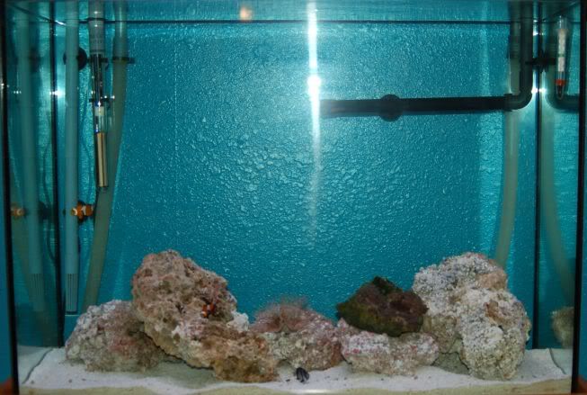 aquarium001.jpg