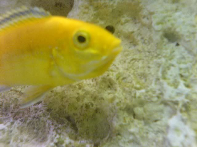 DSC00314.jpg