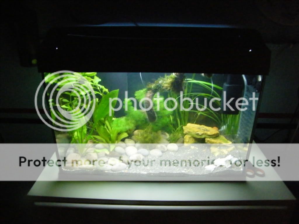 DSCF4458.jpg