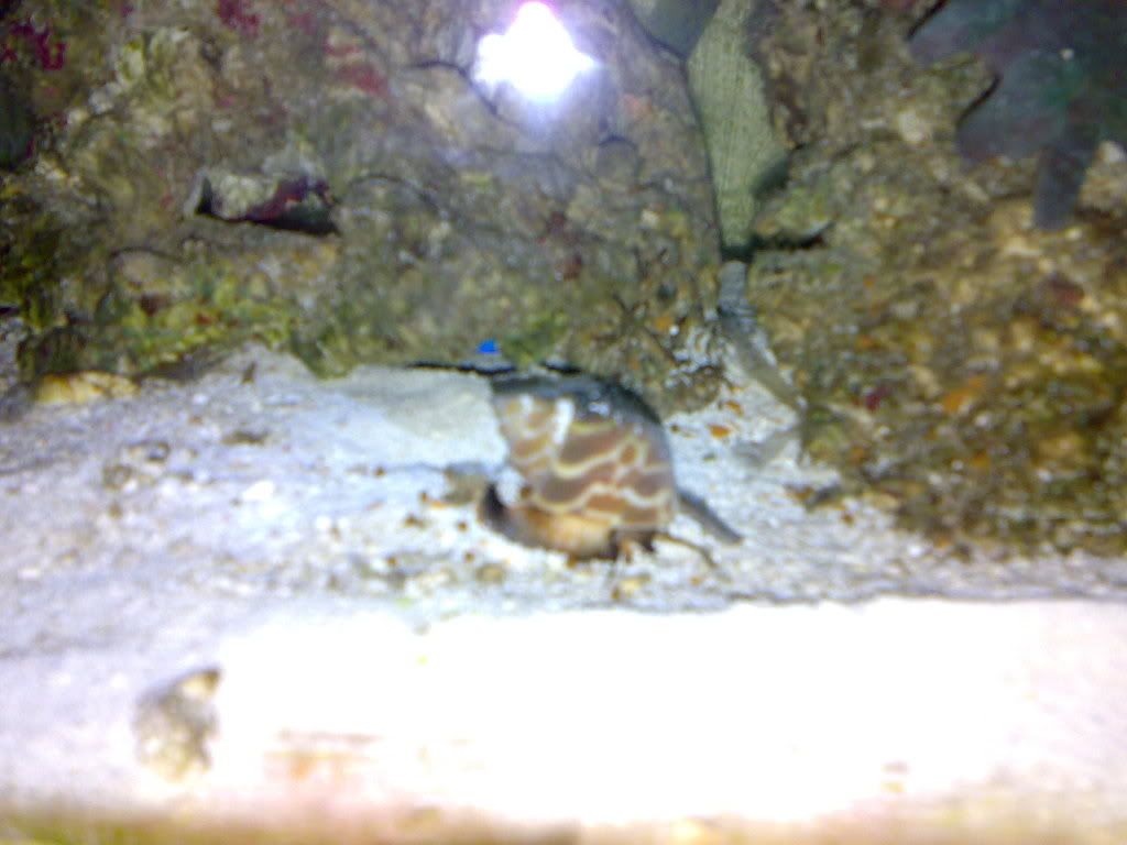 12012009107.jpg