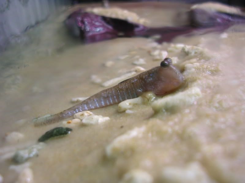 DSCN2993.jpg