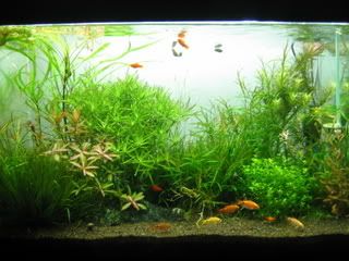 Picture001-6.jpg