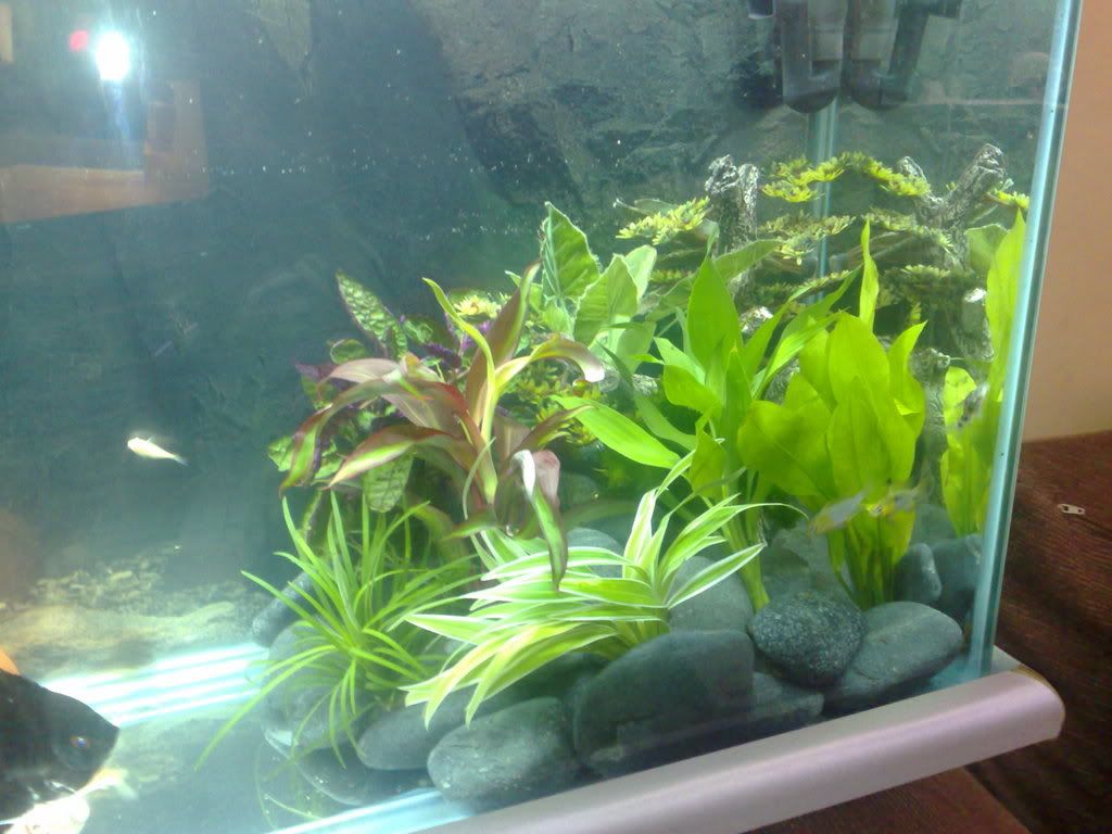 04102007014.jpg