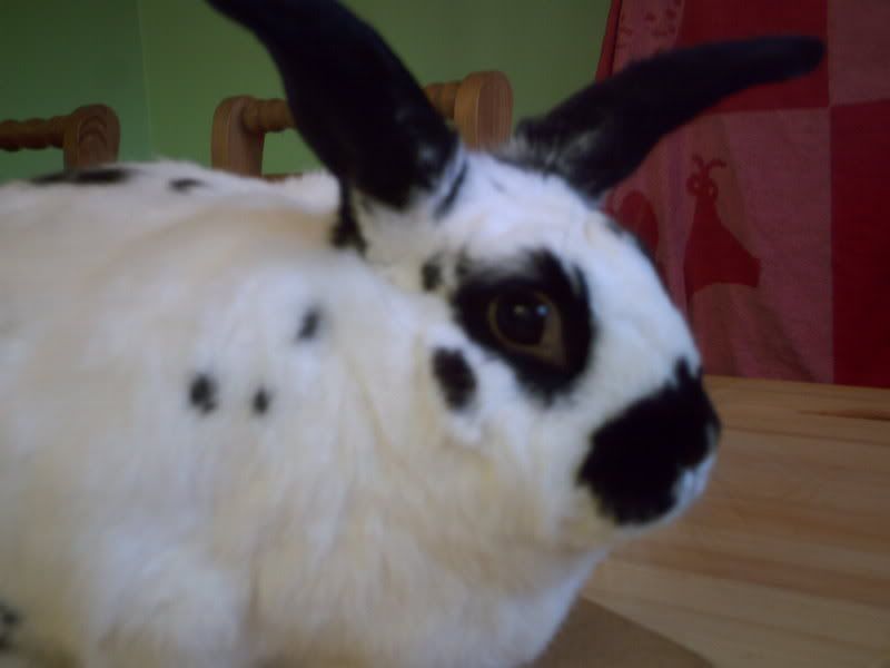 IMAG0157.jpg