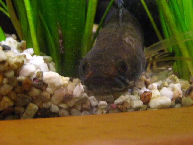 034.jpg