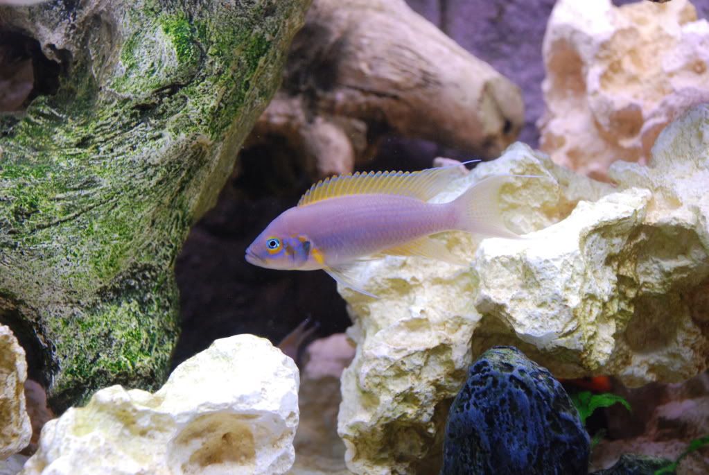 DSC_0010.jpg