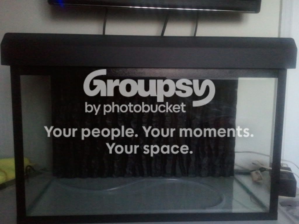 2011-08-04204933.jpg