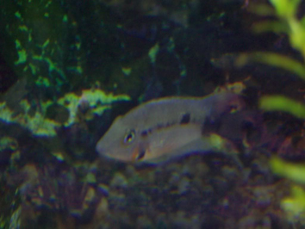 100_0086.jpg