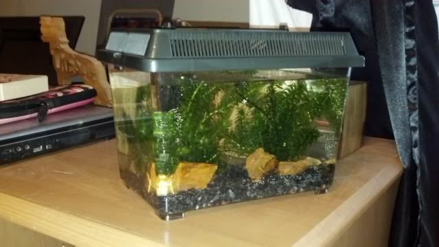 2012-06-26_20-24-00_214.jpg