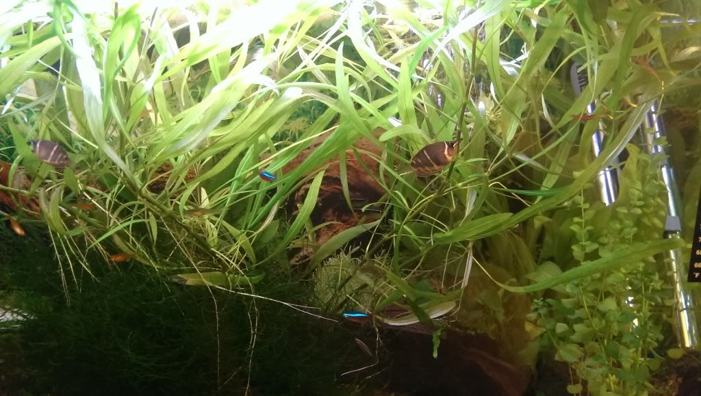 IMAG0190_zps4fad06c7.jpg
