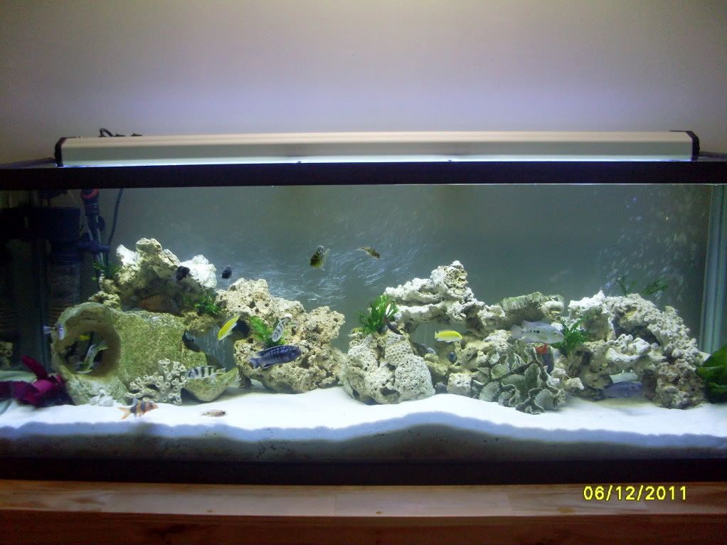 SL370210.jpg