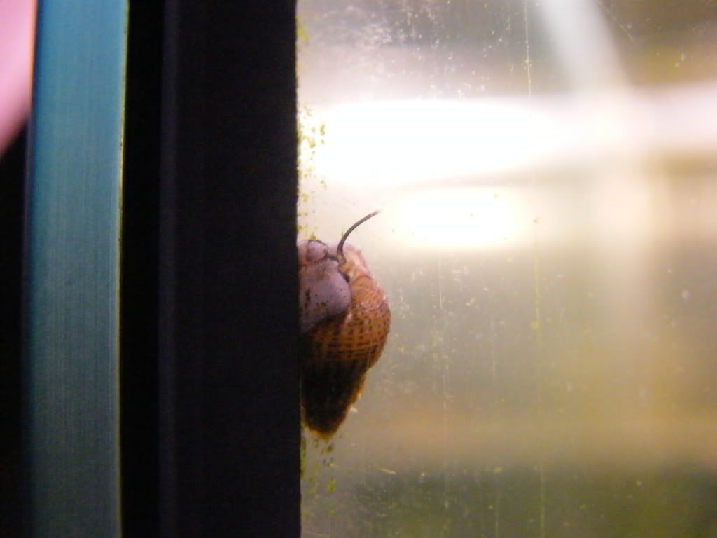 DSCF2006.jpg