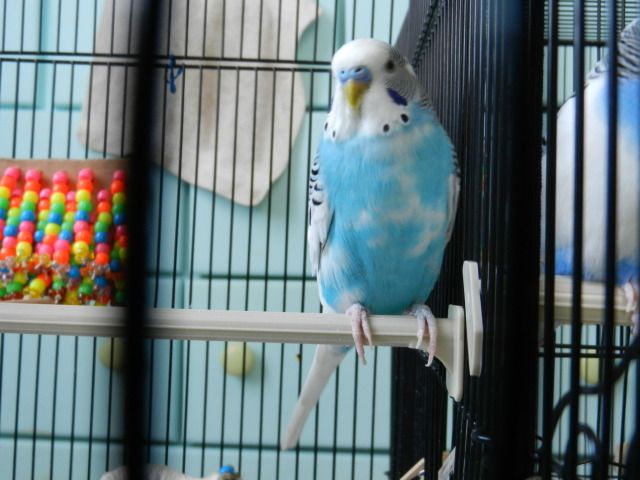 DSCN2689.jpg