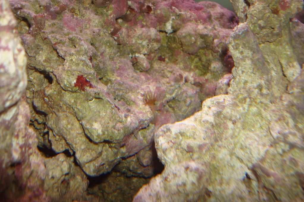 DSC02567.jpg