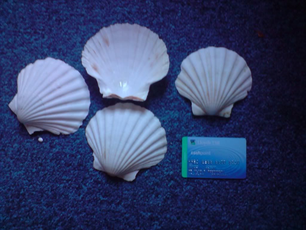 P240809_1810.jpg