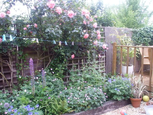 garden007.jpg