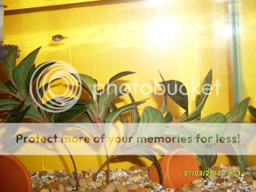 march2010031.jpg