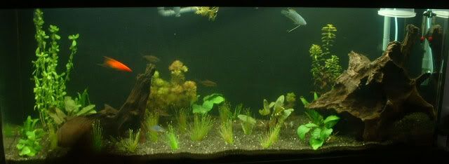 051006-tank.jpg