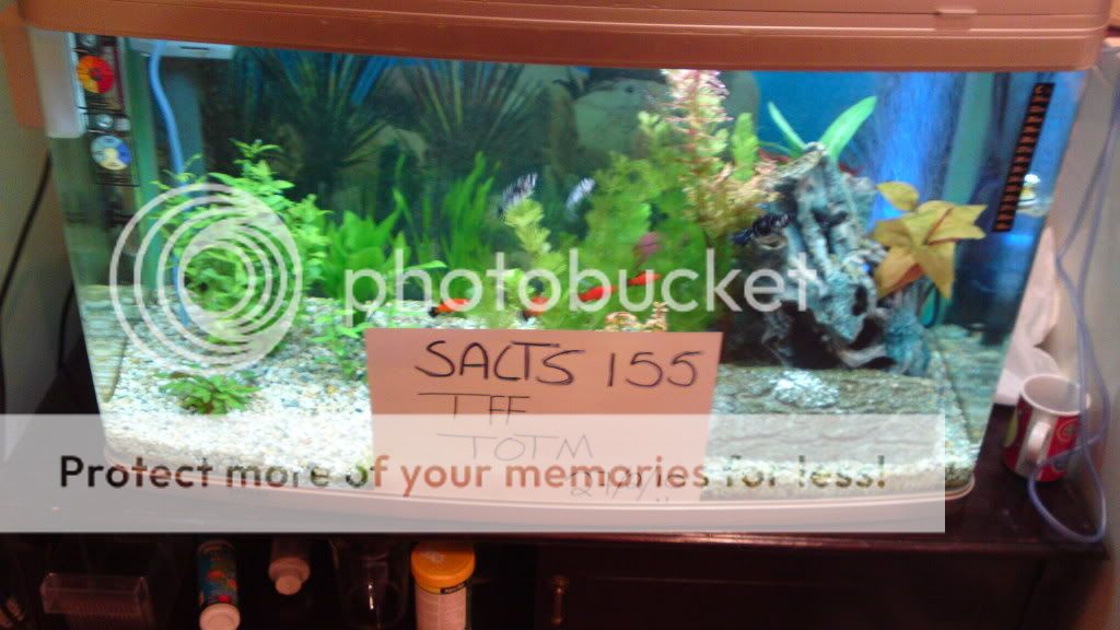 27022010029.jpg
