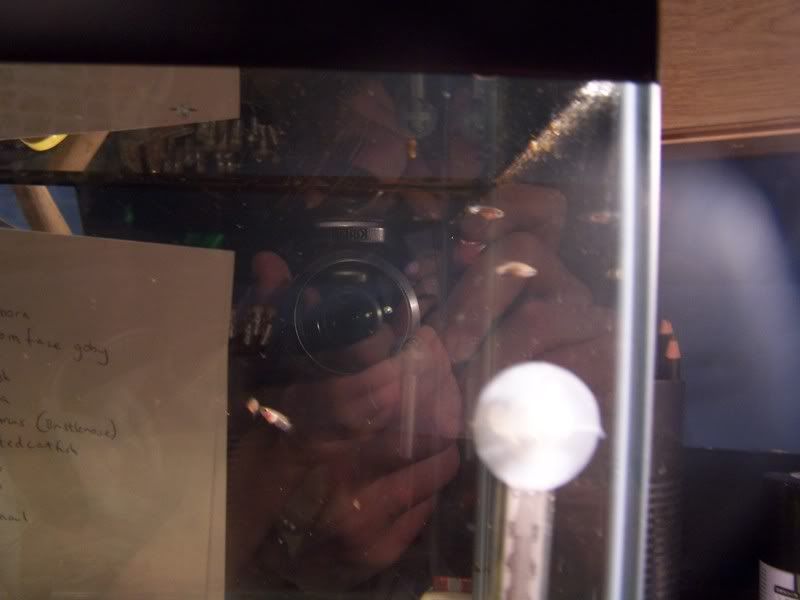 103_3916.jpg