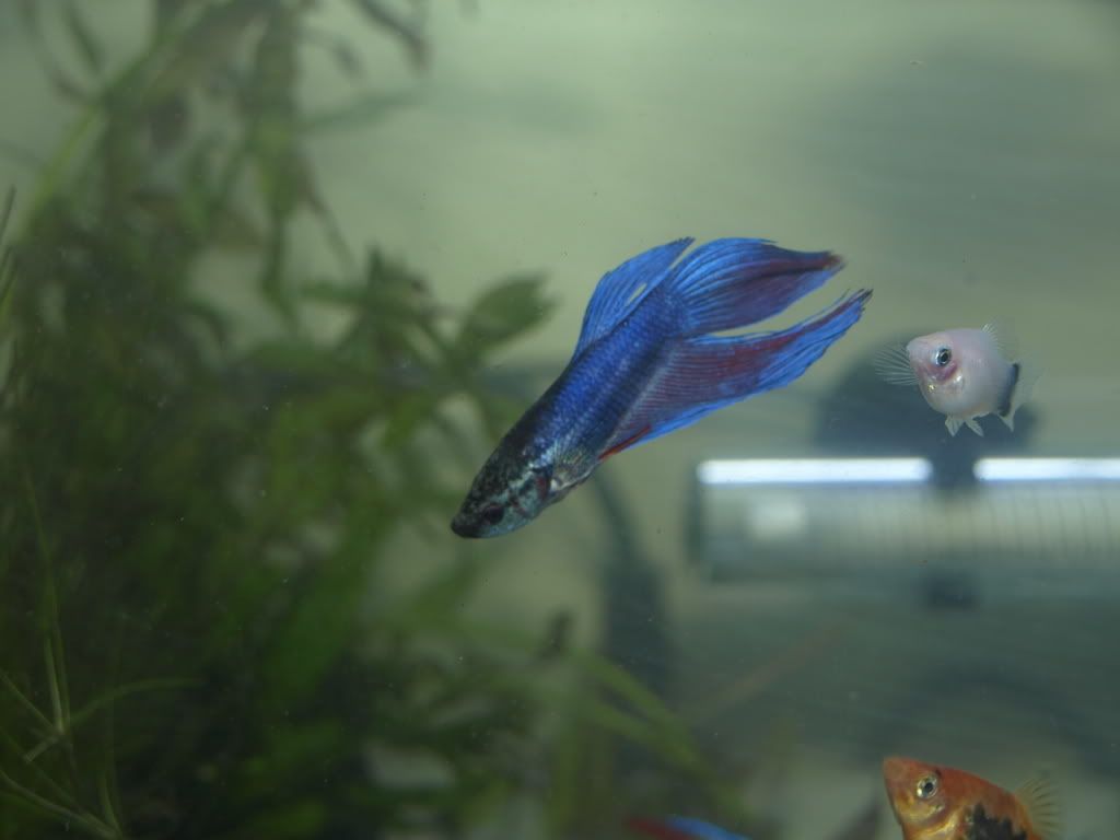 _8021631.jpg