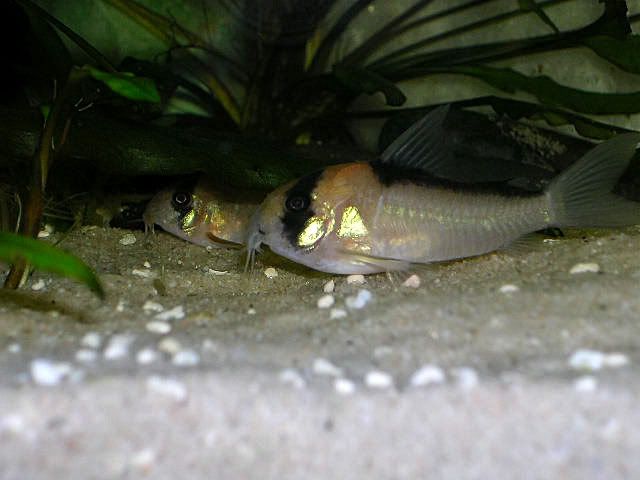 DSCN0127.jpg