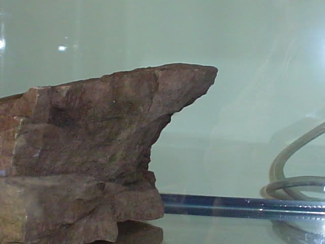Picture082.jpg