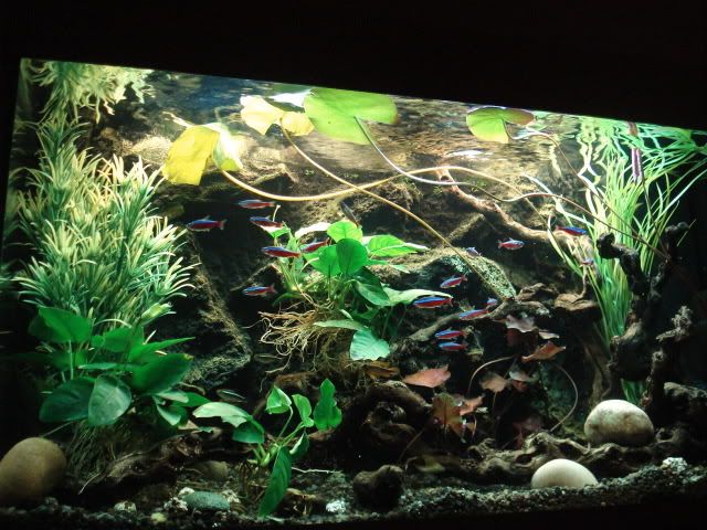 DSC01955.jpg