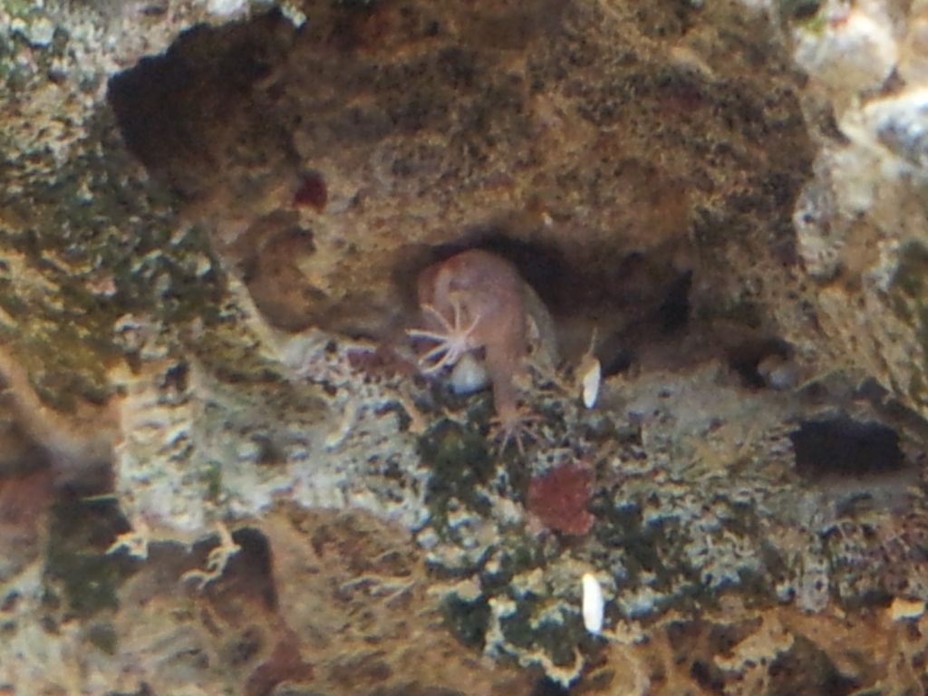 20120530_110840.jpg