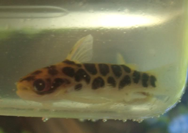 GEDC0417.jpg
