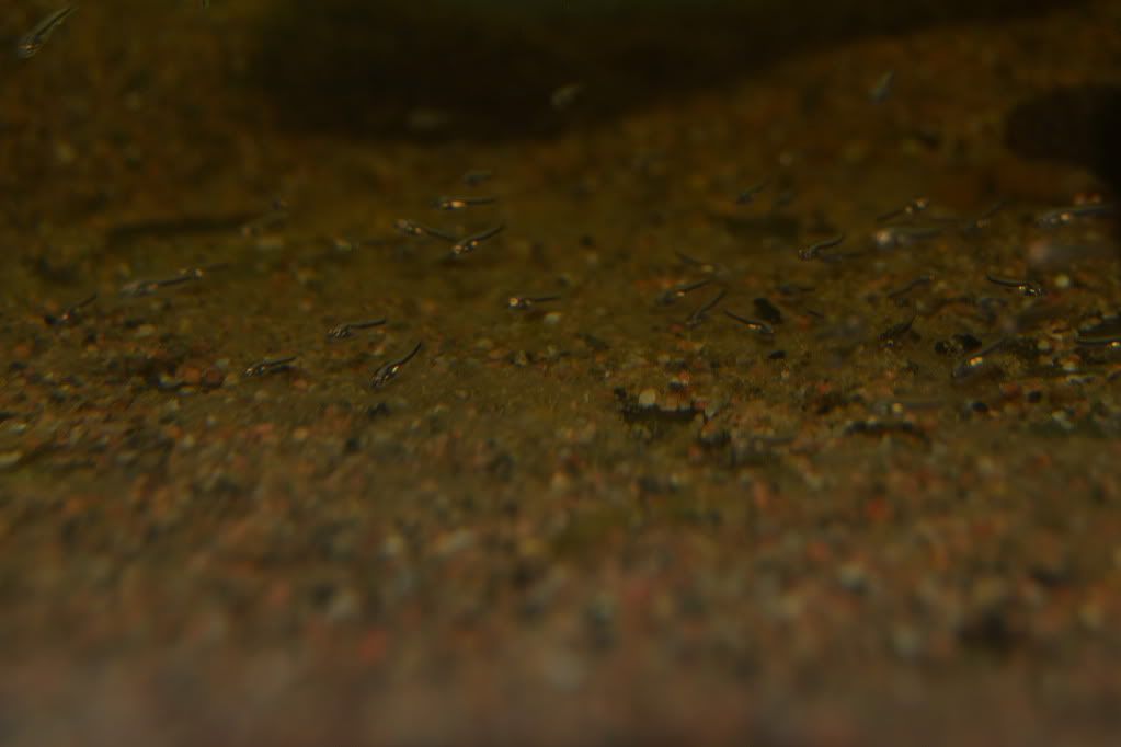 DSC_0770.jpg