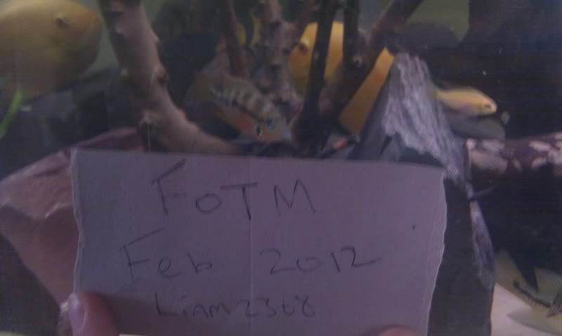 IMAG0945.jpg